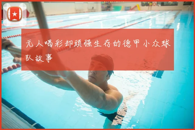 无人喝彩却顽强生存的德甲小众球队故事