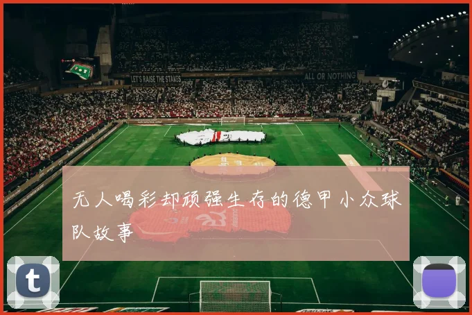 无人喝彩却顽强生存的德甲小众球队故事